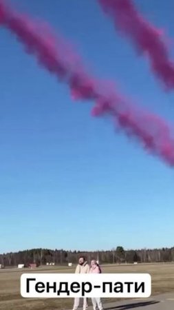 Гендер-пати на аэродроме Новинки в Подмосковье, Tecnam P2002: Развлечения от Агентства Экстрима АХАА