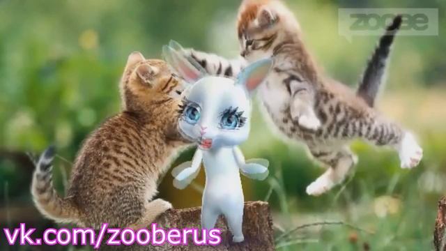 Zoobe зайка - что дороже?! :) смотреть онлайн