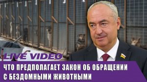 Я за правильные методы – Тускаев о решении проблемы бездомных животных