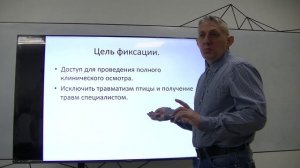Шво. Про вебинар Клиническая диагностика птиц на приеме.