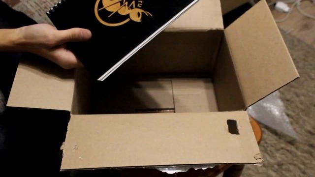 ПЕРВАЯ МУРАВЬИНАЯ ФЕРМА С МУРАВЬЯМИ // ЗАСЕЛЕНИЕ В ФОРМИКАРИЙ смотреть онлайн