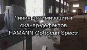 Сканер дефектов древесины и линия оптимизации доски автоматический режим работы. Вырезка дефектов
