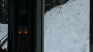 Крутая зубчатая железная дорога и красивые виды. Германия, Цугшпитце. 2010 год.