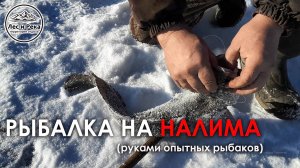 зимняя рыбалка руками опытных рыбаков