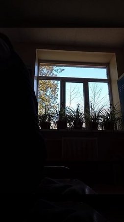 Ультра супер меша экстрим!!!