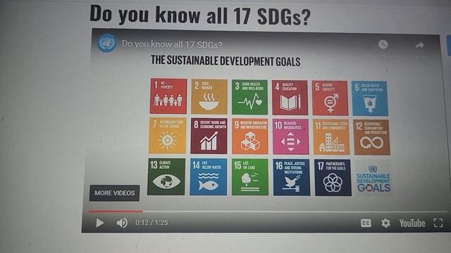 United Nations 17 Sustainable Development Goals