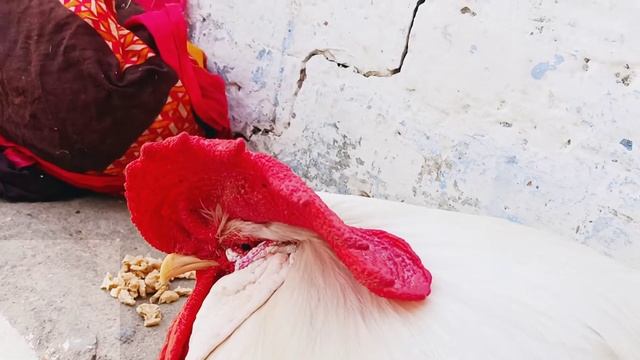 AAAAAAA смотреть онлайн