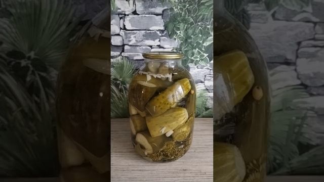 Лучший рецепт маринованных огурцов на зиму