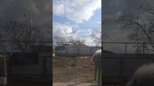 1000146296.mp4Пуховые платочки.т.89020931602 смотреть онлайн