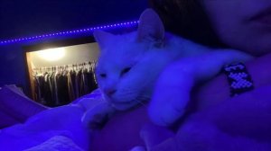 ATMOSPHERIC PHONK _ФОНК_2025