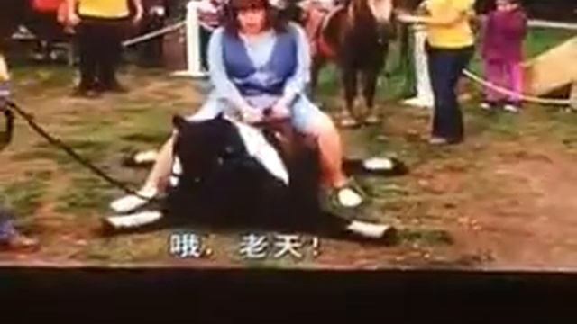 Пони на шпагат смотреть онлайн