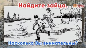 Найдите зайца.  Советская загадка для детей.