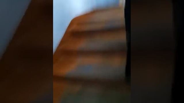 Я в школе иду на урок О З смотреть онлайн