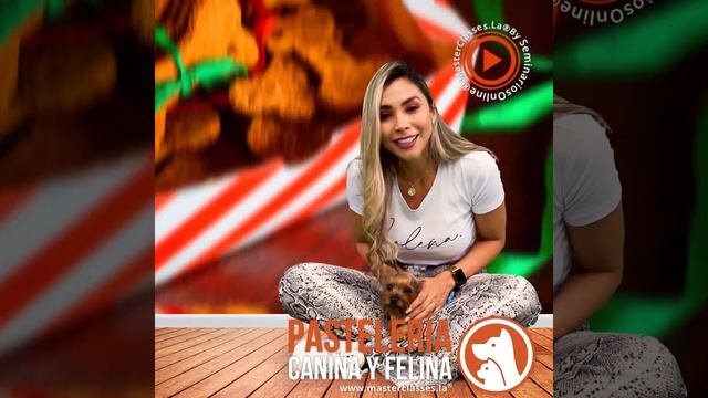 Pasteleria canina y felina - perros - gatos - comida para perros #short #shorts