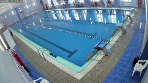 Соревнования по плаванию "День спринтера"