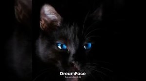 wm_67dac650c3139600088d8d97