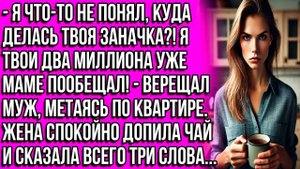 Я что-то не понял, куда делась твоя заначка?! Я твои два миллиона уже маме пообещал! - верещал муж
