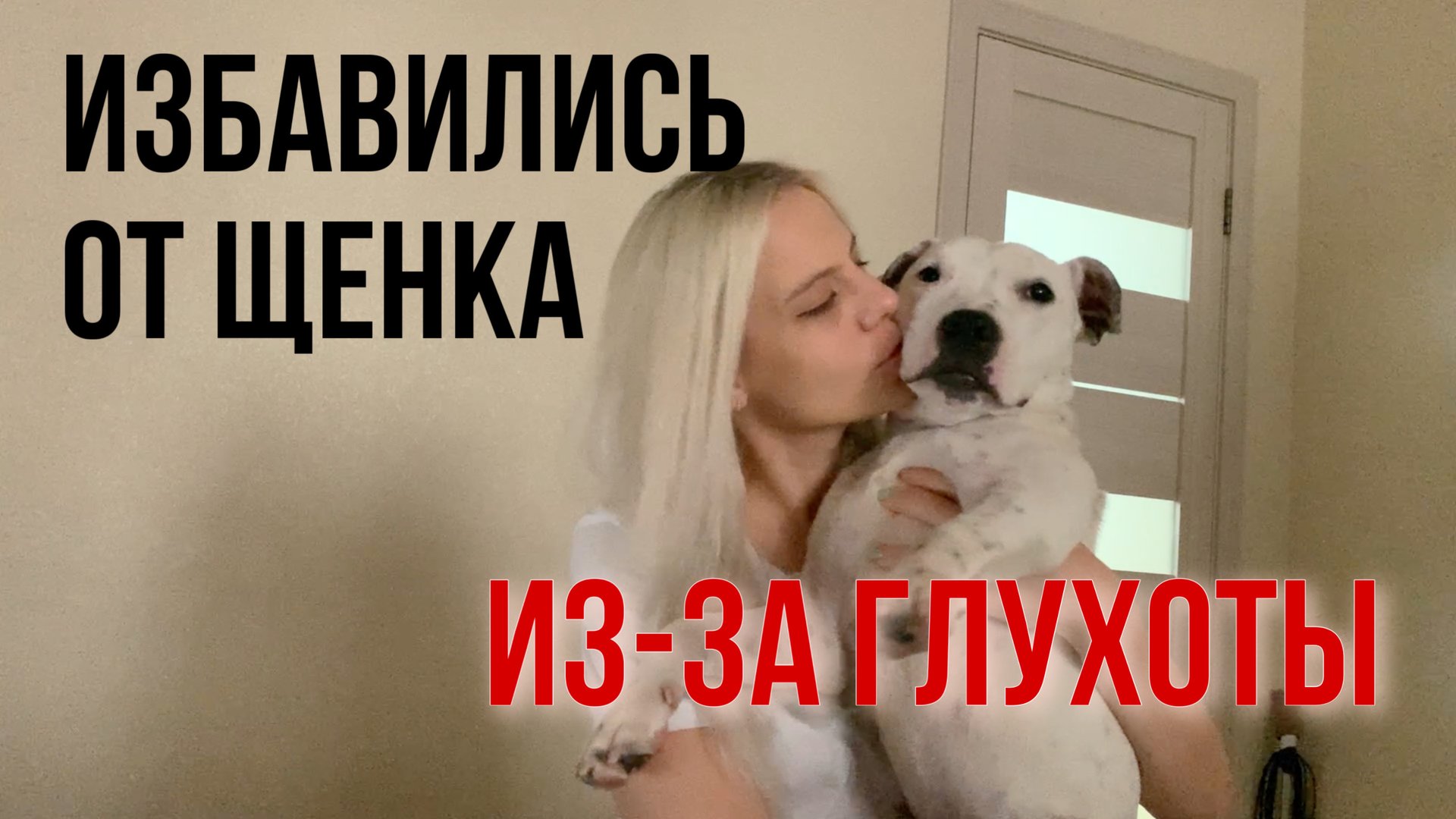 ГЛУХАЯ ТЭФФИ ДВА ГОДА ДОМА |САМОЕ ПЕРВОЕ ВИДЕО ТЭФФИ | ВСПОМНИМ С ЧЕГО ВСЁ НАЧИНАЛОСЬ смотреть онлайн