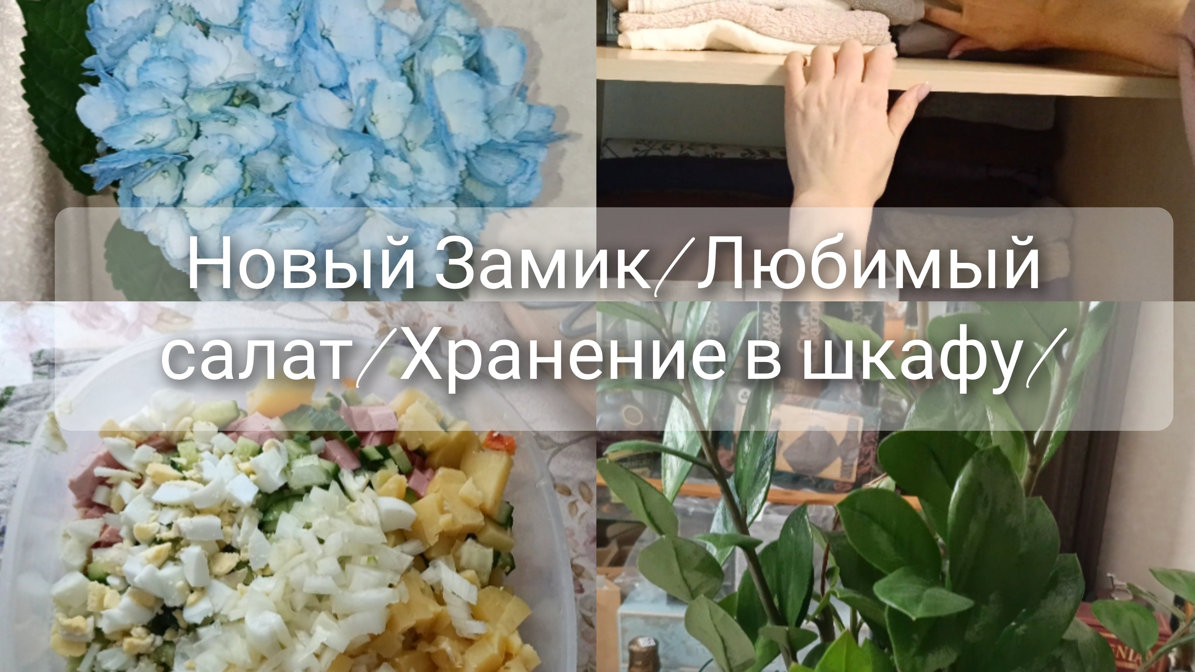 Купила Замик🌱 Любимый салат🥗 Хранение в шкафу👍