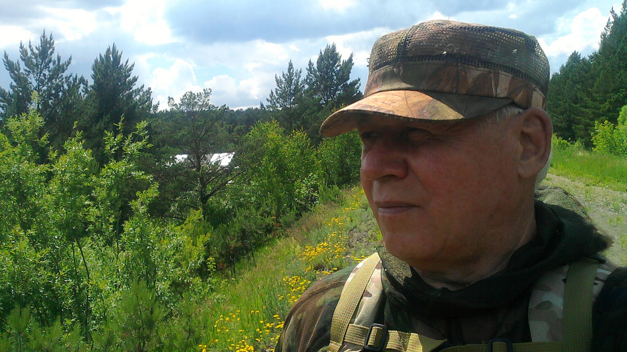 Лес. Июнь 2022