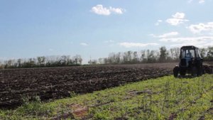 Дискование поля МТЗ-80.1 с тяжелой бороной БДТ-7(без крыльев)в том числе трудного пырейного участка.