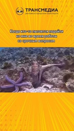 Эх
