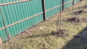 Первая весенняя поездка на дачу.. Подмосковье 2025..