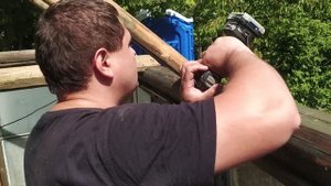 Поел одуванчиков делаю парник мечты