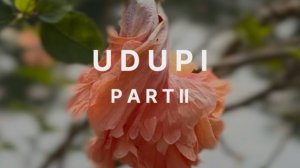Удупи часть 2. Февраль 2025