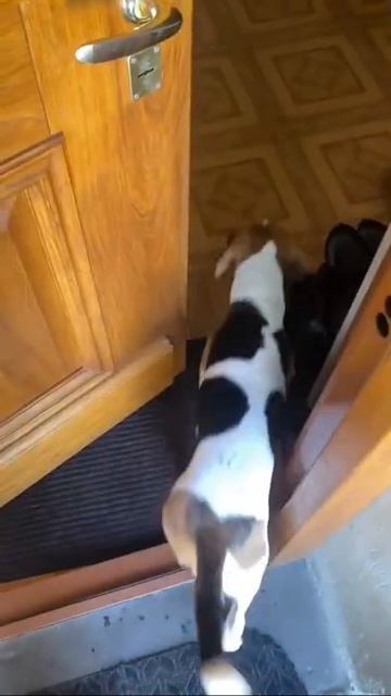 Как же потрясающе пахнет смотреть онлайн