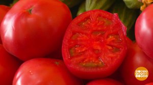 Где живет ликопин и с чем его едят. Доброе утро. Фрагмент выпуска от 20.03.2025