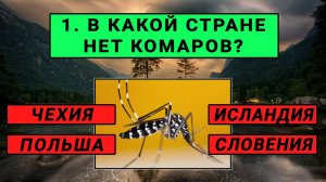 Насколько ВЫ УМНЫЙ человек? Ответьте хотя бы на 9 вопросов! Тест на Эрудицию и Общие Знания