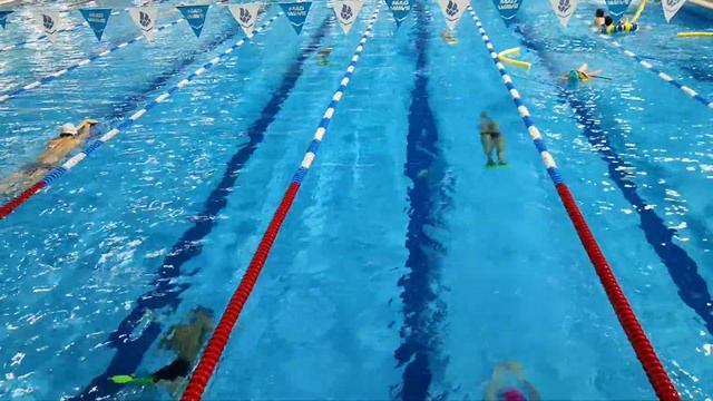 боевые дельфины смотреть онлайн