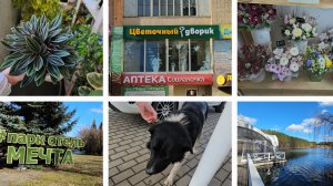 20.03.2025 г Пес Дизель/ Парк отель Мечта/ Прогулка/ Цветочный дворик/ Красивые цветы/ Новая соседка