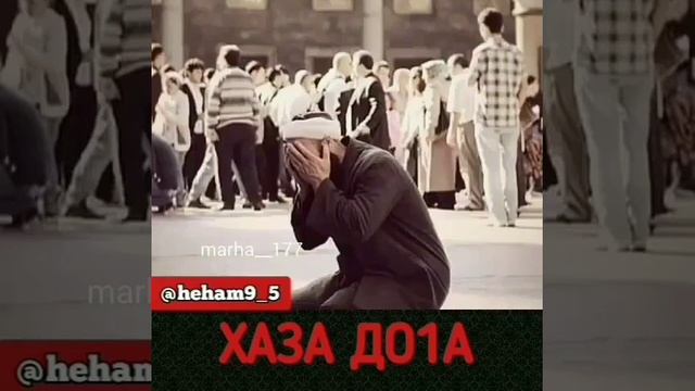 Хаза до1а