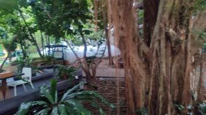 Доброе утро Тайланд 20.03.25.