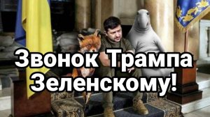 МРИЯ⚡️ ТАМИР ШЕЙХ / "ОТДАШЬ ПОСЛЕДНИЕ ТРУСЫ" Новости Сводки с фронта