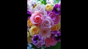 25 Красивые полевые цветы.