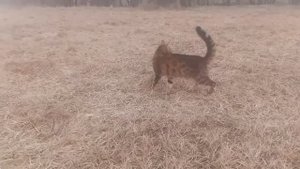 Оказывается, мы все это время неправильно жили, когда переехали жить в деревню, поняли, на сколько т