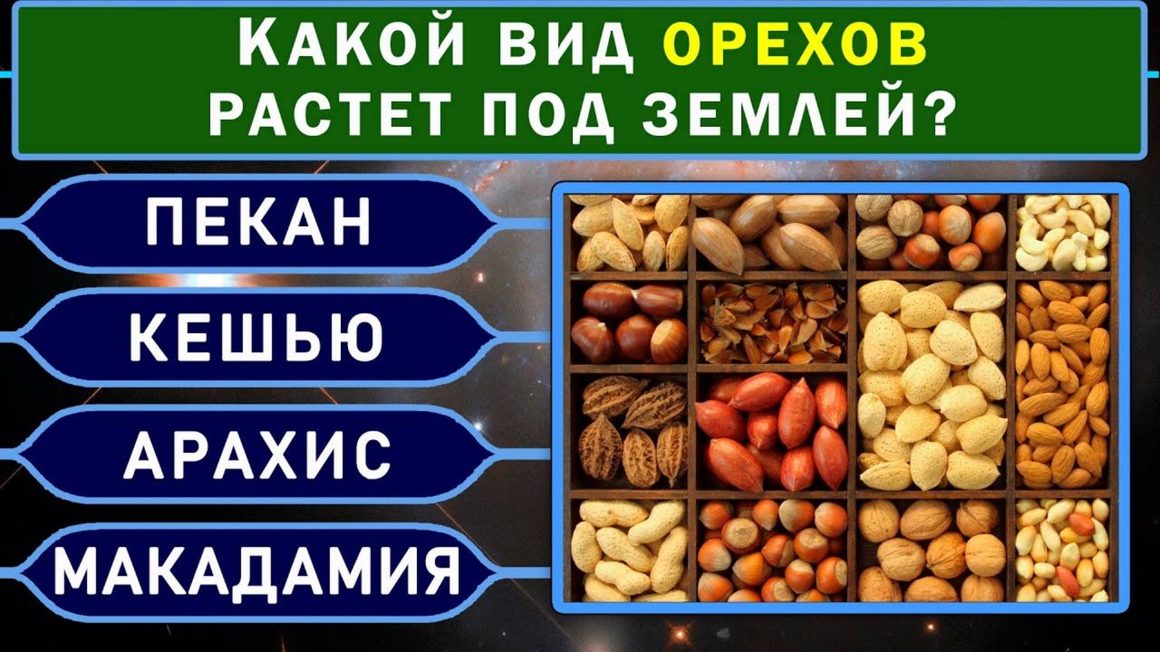 Тест на эрудицию! ТОЛЬКО УМНЫЙ ОТВЕТИТ на 8 из 15 вопросов ПРАВИЛЬНО! #тестнаэрудицию #эрудиция