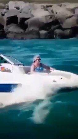 Смешавки.