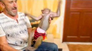 Люська -УРАГАН, устроила распаковку нарядов с обдиранием обоев