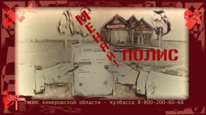 Когда нужно менять полис