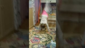 Аксиньины трюки: шпагат,сальто,стояние на голове и мостик😘😘