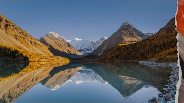 Переговоры, Илон Маск сошёл с ума, повесточка закончилась