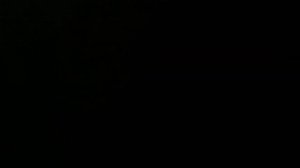 @HMDVore do you eat kids or adults?