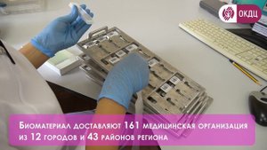 ГАУ РО «Областной консультативно-диагностический центр»