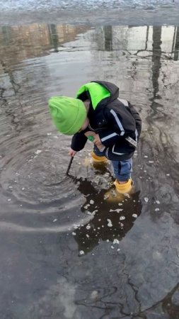 «Буль - Буль» Любимые прогулки детей