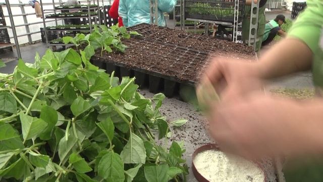 Мы в Питомнике и Садовом центре Веры Глуховой всегда радуемся новому выпуску Дачных советов