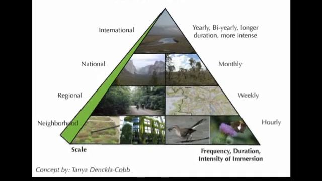 Nature in Cities: The Promise of Biophilic Urbanism